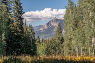 1251 Red Mountain Ranch Lower Loop, Crested Butte, CO 81224
