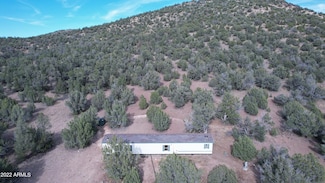 32800 Bucks Rd, Seligman, AZ 86337