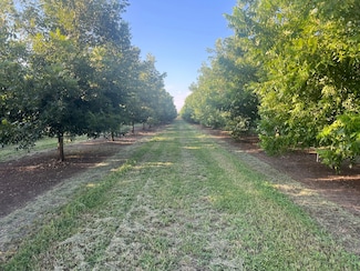 14450 Meridian Rd, Chico, CA 95973
