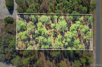 Lot 16 SE 136th Terrace, Dunnellon, FL 34431