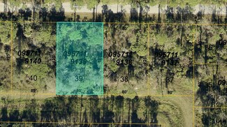 0957119139 Boyd Ave, North Port, FL 34286