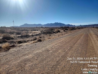 16370 Tamarack Rd SE, Deming, NM 88030