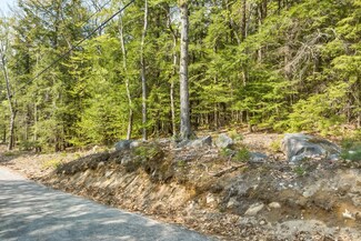 Tax Map 116/32 S Shore Rd, New Durham, NH 03855