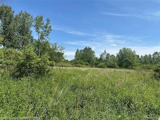 000 Kilburn Rd, Grant Township, MI 48032