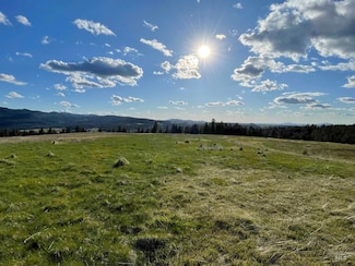1204 Morris Rd, Princeton, ID 83857