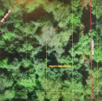 Lot 53 Newell Ave, Topinabee, MI 49791