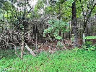 0 Lot 7 Willie Prigmore Rd, Decatur, TN 37322