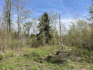 685 Wheelertown Rd, Remsen, NY 13438