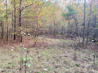 0 Massey Rd, Kosciusko, MS 39090