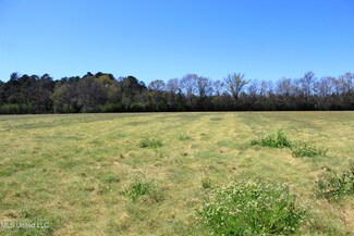 Lot 3 Ramie Farm Rd, Moss Point, MS 39562
