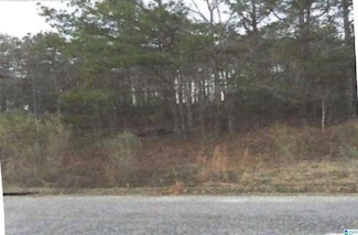 6440 Waters Edge Cir Unit Lot 8 Morgans Run Su, Bessemer, AL 35022