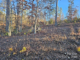 2167 Inlet Shore Rd NE, Valdese, NC 28690
