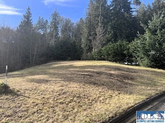Lot 18 S Del Guzzi Dr, Port Angeles, WA 98362