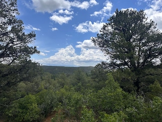 00 El Toro Way, Bon Carbo, CO 81091
