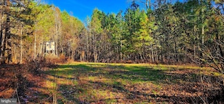 0 Riverton Rd, Mardela Springs, MD 21837