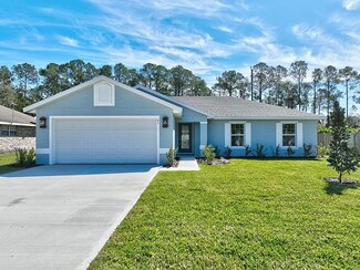 61 Round Thorn Dr, Palm Coast, FL 32164