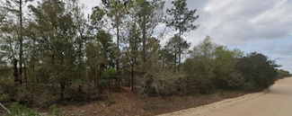 202 3rd Ave, Interlachen, FL 32148