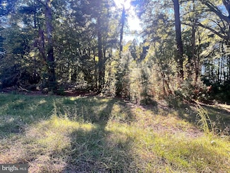 252 Lighthouse Ln, Montross, VA 22520