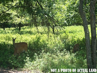 LOT 1403 Reynolds Rd, Albrightsvlle, PA 18210