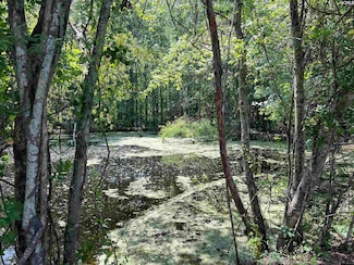 4141 Edmund Hwy, West Columbia, SC 29170