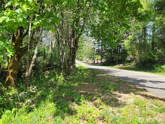 900 E Wilson Way, Grapeview, WA 98546