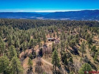 1231 Ranchland Dr, Pagosa Springs, CO 81147