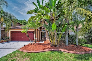 15762 Cedar Elm Terrace, Land O Lakes, FL 34638