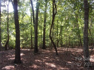 334 Balsam Cir Unit 447, Troy, NC 27371