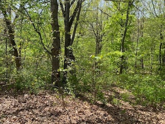 0 Woodlawn Cir, Taylor Township, MO 65742
