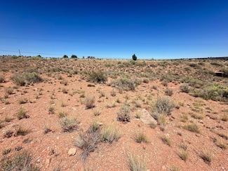 0 Arizona 77, Show Low, AZ 85901