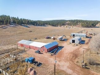 24831 Vip Rd, Hermosa, SD 57744