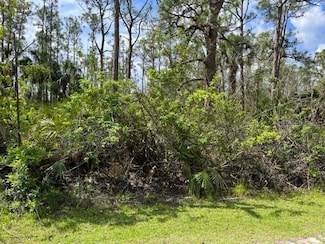 28249 N Twin Lakes Dr, Punta Gorda, FL 33955