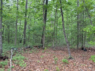 12100 Rock Hill Rd, Chester, VA 23831
