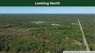 1 Chipstone St, Webster, FL 33597