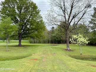 1102 Highway 35 S, Carthage, MS 39051