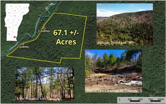 105 Hunter Brook Rd, Newfane, VT 05345