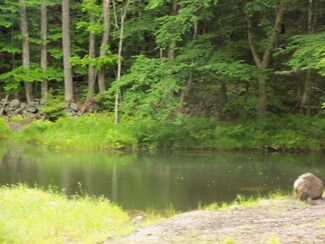 116 Gramma Cutts Ln, Townshend, VT 05353