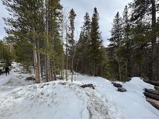 649 Vista Rd Unit 62, Saint Mary's, CO 80452
