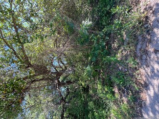 TBD Moss Rose Dr, von Ormy, TX 78073
