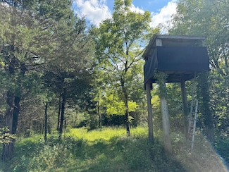 0000 Pleasant Grove Rd, Corinth, KY 41010