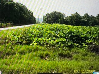 0 Clyde Ave Unit 1 21407992, Anniston, AL 36201