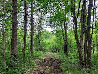 Lot 4 Liberty Ln Unit 4, Catawba, WI 54515