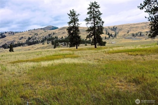 67 Watoka Way, Tonasket, WA 98855