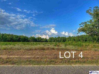 Lot 4 Oliver Rd, Hamer, SC 29547