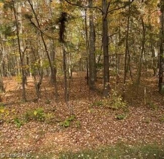 0 Mt Lebanon Unit 1162185, Troy, NC 27371
