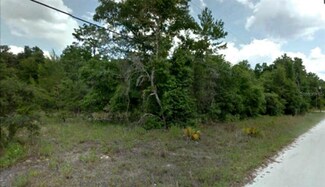 4320 NE 132nd Ct, Silver Springs, FL 34488
