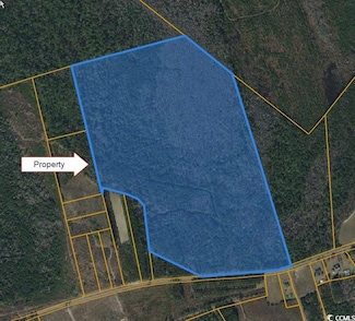 TBD Highway 430, Nichols, SC 29581