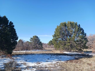 TBD N Avalon Dr, Norwood, CO 81423