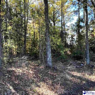 000 W Mciver Rd, Darlington, SC 29532