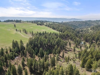TBD Rieman Rd, Cottonwood, ID 83522